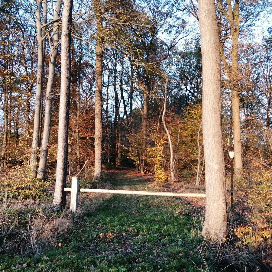 Veenemaat Winterswijk